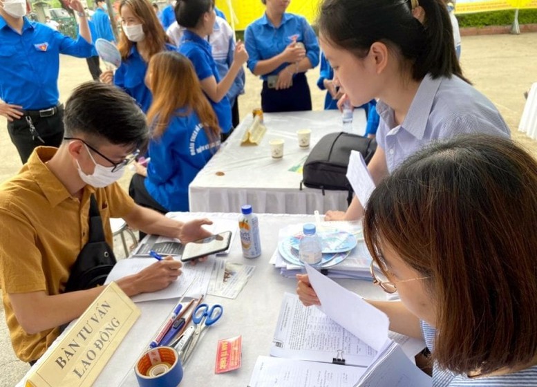 Kế hoạch triển khai thi hành Luật Việc làm