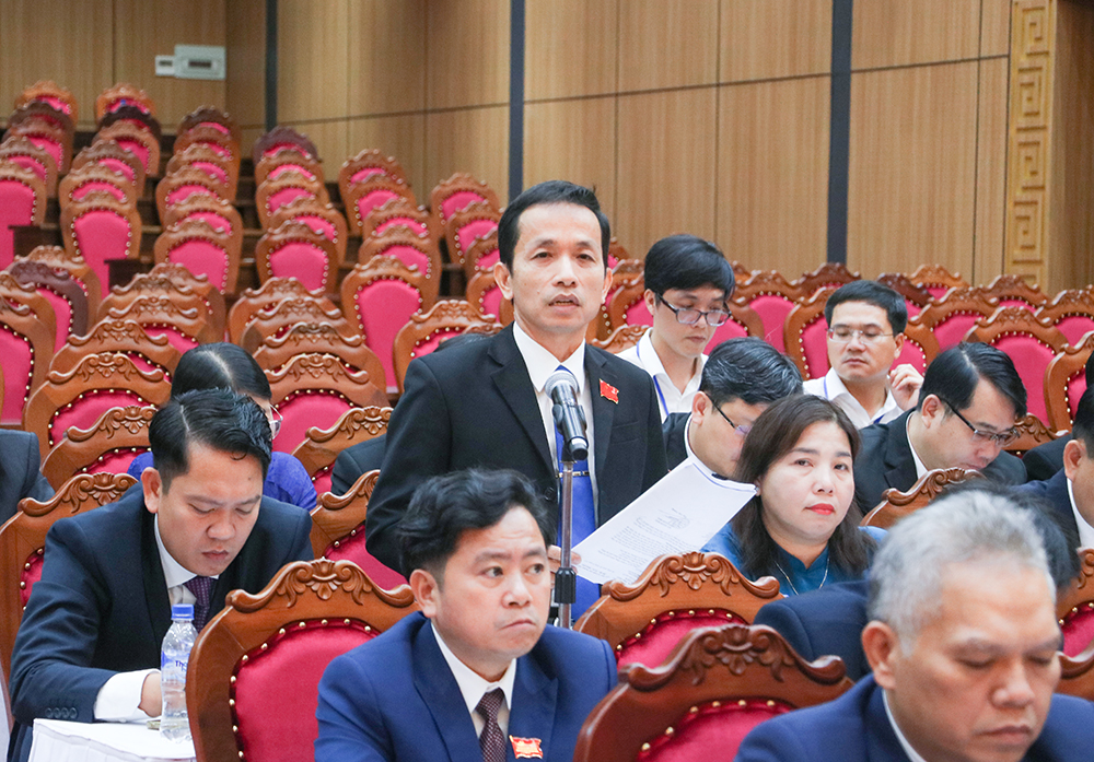 Dai hoi Dang bo lan 1 14
