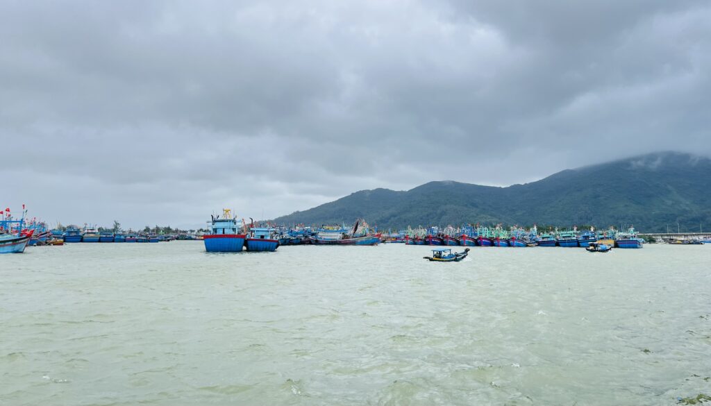 Thi sat ung pho bao 12 1