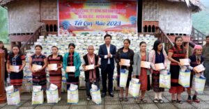 1-tang-qua-tet-dong-bao-dan-toc-o-hoa-vang-1-1