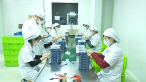 7-da-nang-cap-moi-mpg-snapshot-00-02-384-1