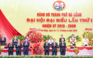 DH-ANH-2