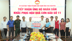 Ho-tro-Thai-Nguyen-bao-so-11