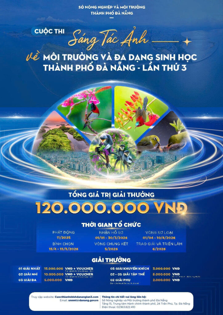 Sang tac anh