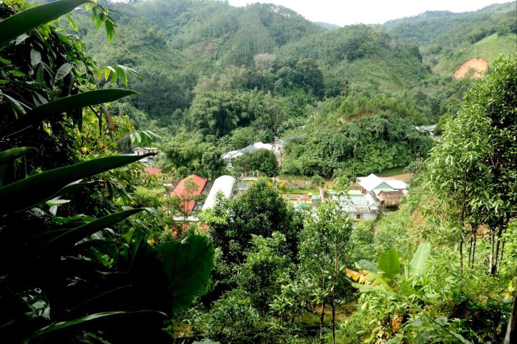 So Nong nghiep di khoa sat cac vet nut tai A Vuong 1