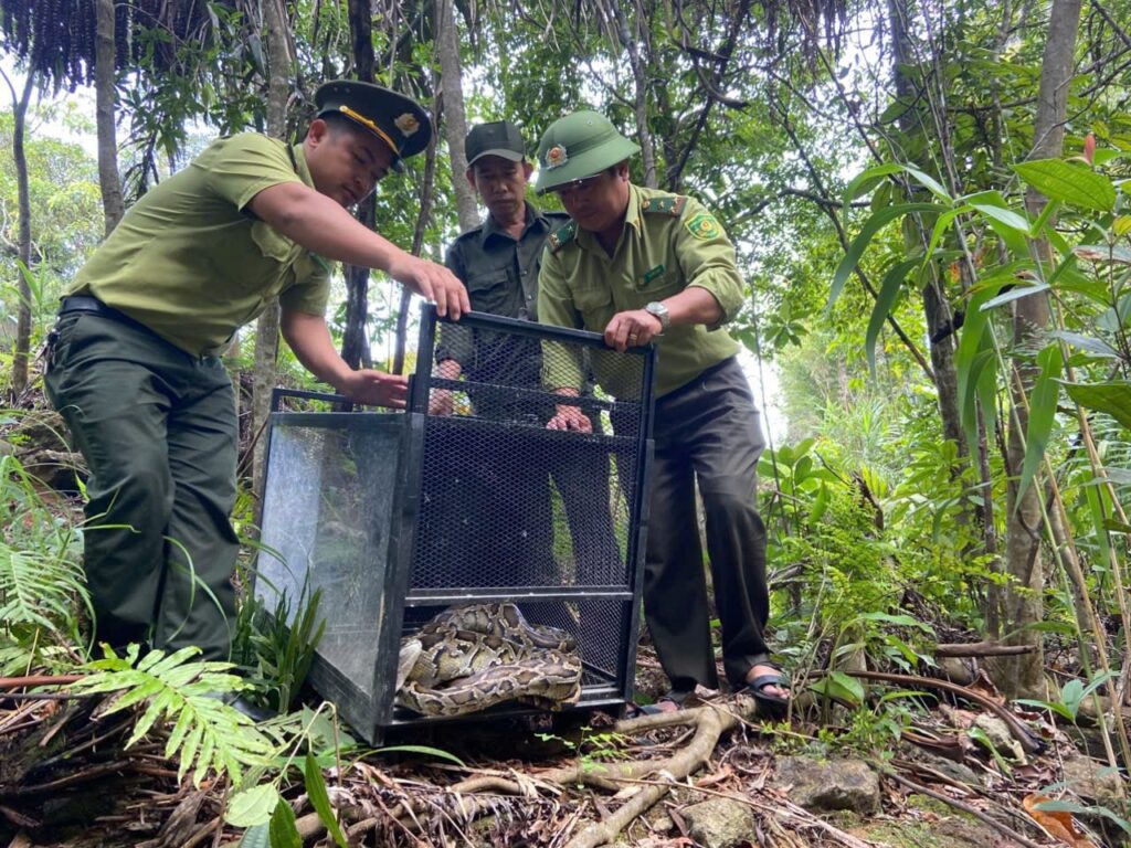 Tha dong vat hoang da ve tu nhien