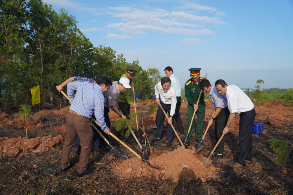 Trong cay Quang Phu 1