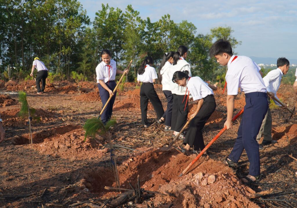 Trong cay Quang Phu 2 1