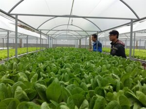 a-start-up-business-project-in-hi-tech-farming-introduces