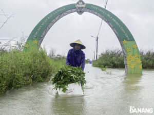 anh-huong-bao-so-1-nam-2025-1