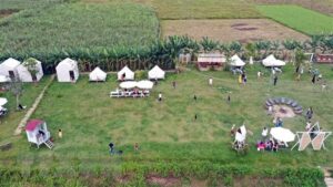 at-an-eco-tourism-area-in-hoa-bac-commune-1