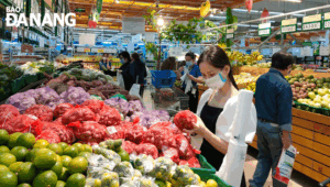 at-the-co-opmart-da-nang-supermarket
