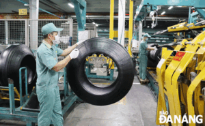 at-the-da-nang-rubber-joint-stock-company