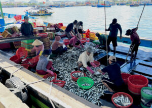 at-the-tho-quang-fishing-port-and-wharf