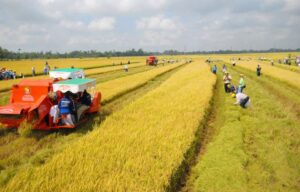cac-truong-hop-duoc-mien-giam-thue-su-dung-dat-nong-nghiep-17198055850361651375412-17624917119322067186196