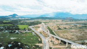 cao-toc-hoa-lien-tuy-loan-300724-1