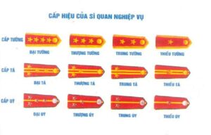 cap-hieu-si-quan-1