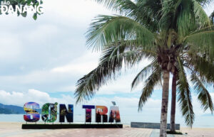 check-in-son-tra-1