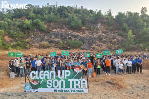 cleaning-up-son-tra-1-1
