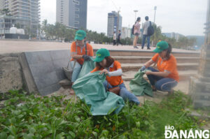 cleanups-on-pham-van-dong-beach