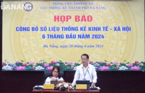 cong-bo-so-lieu-kinh-te-xa-hoi-6t-dau-nam-2024-1