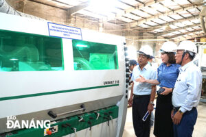 da-nang-enterprises-1-1