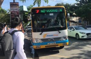 danabus-1