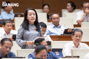 doan-dbqh-thao-luan-15-05-2025-1