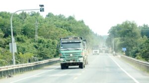 doan-hoa-lien-tuy-loan-1