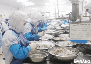 doanh-nghi-e1-bb-87p-m-e1-bb-9f-r-e1-bb-99ng-s-e1-ba-a3n-xu-e1-ba-a5t-1-1