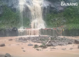 duong-len-son-tra-sat-lo-051124-1