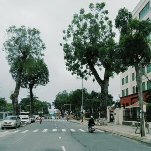 duong-pho-da-nang-2-1