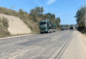 duong-tranh-nam-hai-van-tuy-loan-hu-hong-1