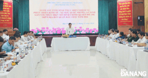 giam-sat-tinh-hinh-kinh-te-xa-hoi-quan-hai-chau-2024-1
