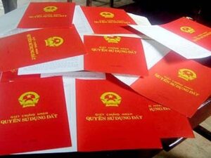 giay-chung-nhan-quyen-su-dung-dat-2-1