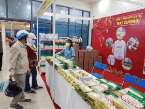 hcxuan13-1