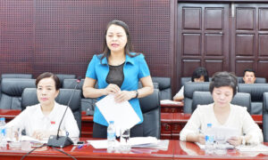 hoi-lien-hiep-phu-nu-viet-nam-1