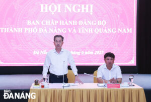 hoi-nghi-bch-dang-bo-da-nang-quang-nam-thang-06-2025-1
