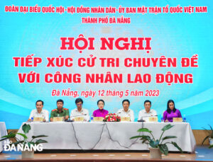 hoi-nghi-tiep-xuc-cu-tri-chuyen-de-1