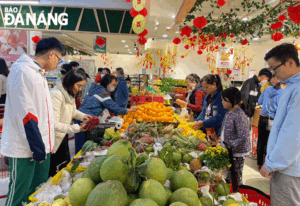 images1684335-images1684298-1