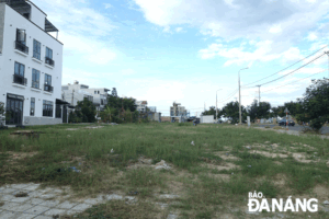 images1709749-1-1