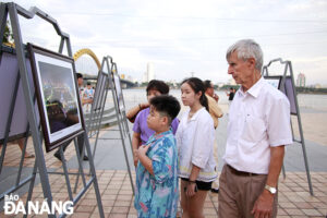 images1710436-mg-9756-1