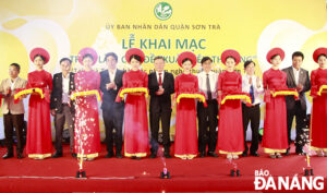 images1727036-images1727003-311