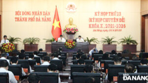 images1774548-xa-281-29