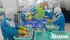 inside-of-seadanang-company