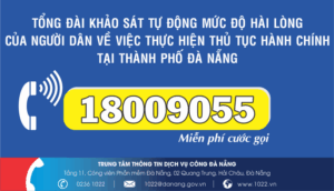 khao-sat-tu-dong-1-1