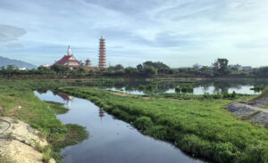 khu-quy-ho-e1-ba-a1ch-x-c3-a2y-d-e1-bb-b1ng-c-c3-b4ng-vi-c3-aan-h-e1-bb-93-t-c3-a2y-1