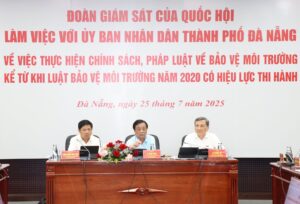 lam-viec-ve-luat-bao-ve-moi-truong-2020-1