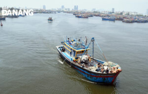 many-fishing-vessels-leaving-the-tho-quang-wharf-1