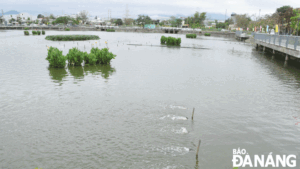 many-measures-have-been-taken-to-improve-the-water-environment